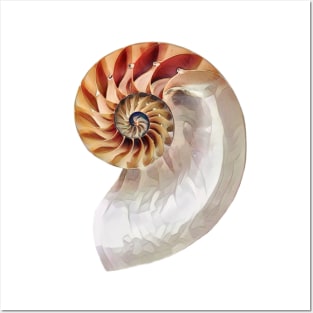 Nautilus Shell Posters and Art
